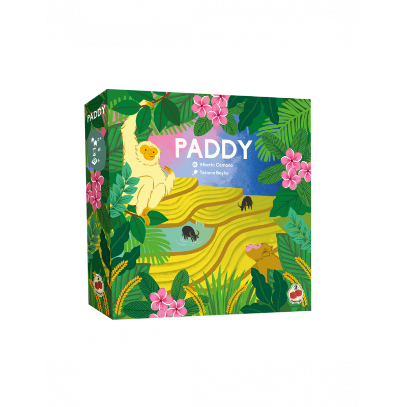 Paddy